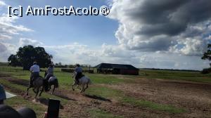 [P46]  -- <small>// FĂRĂ DESCRIERE</small> » foto by elenaadina
 - 
<span class="allrVoted glyphicon glyphicon-heart hidden" id="av1519403"></span>
<a class="m-l-10 hidden" id="sv1519403" onclick="voting_Foto_DelVot(,1519403,25466)" role="button">șterge vot <span class="glyphicon glyphicon-remove"></span></a>
<a id="v91519403" class=" c-red"  onclick="voting_Foto_SetVot(1519403)" role="button"><span class="glyphicon glyphicon-heart-empty"></span> <b>LIKE</b> = Votează poza</a> <img class="hidden"  id="f1519403W9" src="/imagini/loader.gif" border="0" /><span class="AjErrMes hidden" id="e1519403ErM"></span>