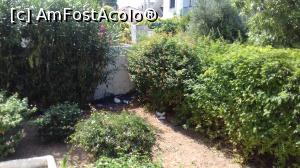 [P08] peste tot mizerie necuratata de la clientii cazati anterior » foto by Lenke2019
 - 
<span class="allrVoted glyphicon glyphicon-heart hidden" id="av1106451"></span>
<a class="m-l-10 hidden" id="sv1106451" onclick="voting_Foto_DelVot(,1106451,25680)" role="button">șterge vot <span class="glyphicon glyphicon-remove"></span></a>
<a id="v91106451" class=" c-red"  onclick="voting_Foto_SetVot(1106451)" role="button"><span class="glyphicon glyphicon-heart-empty"></span> <b>LIKE</b> = Votează poza</a> <img class="hidden"  id="f1106451W9" src="/imagini/loader.gif" border="0" /><span class="AjErrMes hidden" id="e1106451ErM"></span>