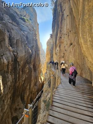 [P02]  -- <small>// FĂRĂ DESCRIERE</small> » foto by Maya_C
 - 
<span class="allrVoted glyphicon glyphicon-heart hidden" id="av1505965"></span>
<a class="m-l-10 hidden" id="sv1505965" onclick="voting_Foto_DelVot(,1505965,25725)" role="button">șterge vot <span class="glyphicon glyphicon-remove"></span></a>
<a id="v91505965" class=" c-red"  onclick="voting_Foto_SetVot(1505965)" role="button"><span class="glyphicon glyphicon-heart-empty"></span> <b>LIKE</b> = Votează poza</a> <img class="hidden"  id="f1505965W9" src="/imagini/loader.gif" border="0" /><span class="AjErrMes hidden" id="e1505965ErM"></span>