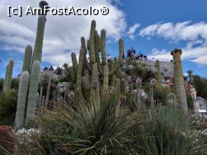 [P28] Cactuşi din Jardin Exotique d' Èze, se poate observa şi cea mai înaltă platformă pe care se află ruinele fostei fortăreţe medievale » foto by irinad
 - 
<span class="allrVoted glyphicon glyphicon-heart hidden" id="av1109962"></span>
<a class="m-l-10 hidden" id="sv1109962" onclick="voting_Foto_DelVot(,1109962,25726)" role="button">șterge vot <span class="glyphicon glyphicon-remove"></span></a>
<a id="v91109962" class=" c-red"  onclick="voting_Foto_SetVot(1109962)" role="button"><span class="glyphicon glyphicon-heart-empty"></span> <b>LIKE</b> = Votează poza</a> <img class="hidden"  id="f1109962W9" src="/imagini/loader.gif" border="0" /><span class="AjErrMes hidden" id="e1109962ErM"></span>