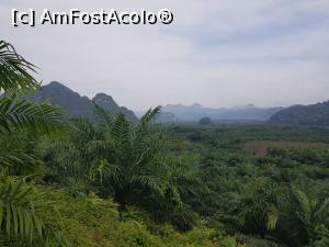 [P26] Parcul National Khao Sok » foto by atti_sz
 - 
<span class="allrVoted glyphicon glyphicon-heart hidden" id="av1114670"></span>
<a class="m-l-10 hidden" id="sv1114670" onclick="voting_Foto_DelVot(,1114670,25773)" role="button">șterge vot <span class="glyphicon glyphicon-remove"></span></a>
<a id="v91114670" class=" c-red"  onclick="voting_Foto_SetVot(1114670)" role="button"><span class="glyphicon glyphicon-heart-empty"></span> <b>LIKE</b> = Votează poza</a> <img class="hidden"  id="f1114670W9" src="/imagini/loader.gif" border="0" /><span class="AjErrMes hidden" id="e1114670ErM"></span>