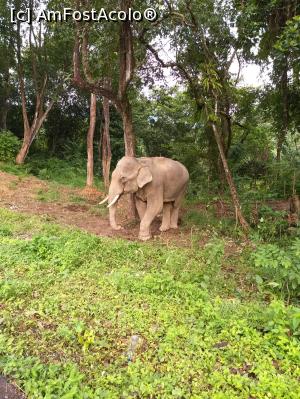 [P27] Parcul National Khao Sok » foto by atti_sz
 - 
<span class="allrVoted glyphicon glyphicon-heart hidden" id="av1114671"></span>
<a class="m-l-10 hidden" id="sv1114671" onclick="voting_Foto_DelVot(,1114671,25773)" role="button">șterge vot <span class="glyphicon glyphicon-remove"></span></a>
<a id="v91114671" class=" c-red"  onclick="voting_Foto_SetVot(1114671)" role="button"><span class="glyphicon glyphicon-heart-empty"></span> <b>LIKE</b> = Votează poza</a> <img class="hidden"  id="f1114671W9" src="/imagini/loader.gif" border="0" /><span class="AjErrMes hidden" id="e1114671ErM"></span>