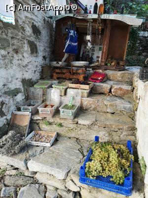 [P32] Bătrânul, dar chipeșul Şirince » foto by crismis
 - 
<span class="allrVoted glyphicon glyphicon-heart hidden" id="av1115087"></span>
<a class="m-l-10 hidden" id="sv1115087" onclick="voting_Foto_DelVot(,1115087,25780)" role="button">șterge vot <span class="glyphicon glyphicon-remove"></span></a>
<a id="v91115087" class=" c-red"  onclick="voting_Foto_SetVot(1115087)" role="button"><span class="glyphicon glyphicon-heart-empty"></span> <b>LIKE</b> = Votează poza</a> <img class="hidden"  id="f1115087W9" src="/imagini/loader.gif" border="0" /><span class="AjErrMes hidden" id="e1115087ErM"></span>
