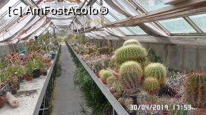 [P32] Casa Palmierilor - Palatul Festetics, Keszthely. În sera cu cactuși » foto by ungureanica
 - 
<span class="allrVoted glyphicon glyphicon-heart hidden" id="av1122366"></span>
<a class="m-l-10 hidden" id="sv1122366" onclick="voting_Foto_DelVot(,1122366,25784)" role="button">șterge vot <span class="glyphicon glyphicon-remove"></span></a>
<a id="v91122366" class=" c-red"  onclick="voting_Foto_SetVot(1122366)" role="button"><span class="glyphicon glyphicon-heart-empty"></span> <b>LIKE</b> = Votează poza</a> <img class="hidden"  id="f1122366W9" src="/imagini/loader.gif" border="0" /><span class="AjErrMes hidden" id="e1122366ErM"></span>