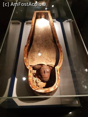 [P18] mumia si sicriul unui preot Amure si general de armata din dinastia 21 » foto by roth
 - 
<span class="allrVoted glyphicon glyphicon-heart hidden" id="av1222797"></span>
<a class="m-l-10 hidden" id="sv1222797" onclick="voting_Foto_DelVot(,1222797,25858)" role="button">șterge vot <span class="glyphicon glyphicon-remove"></span></a>
<a id="v91222797" class=" c-red"  onclick="voting_Foto_SetVot(1222797)" role="button"><span class="glyphicon glyphicon-heart-empty"></span> <b>LIKE</b> = Votează poza</a> <img class="hidden"  id="f1222797W9" src="/imagini/loader.gif" border="0" /><span class="AjErrMes hidden" id="e1222797ErM"></span>