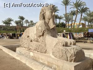 [P10] Memphis, Muzeul Mit Rahina, Sfinxul de alabastru » foto by mprofeanu
 - 
<span class="allrVoted glyphicon glyphicon-heart hidden" id="av1525992"></span>
<a class="m-l-10 hidden" id="sv1525992" onclick="voting_Foto_DelVot(,1525992,25858)" role="button">șterge vot <span class="glyphicon glyphicon-remove"></span></a>
<a id="v91525992" class=" c-red"  onclick="voting_Foto_SetVot(1525992)" role="button"><span class="glyphicon glyphicon-heart-empty"></span> <b>LIKE</b> = Votează poza</a> <img class="hidden"  id="f1525992W9" src="/imagini/loader.gif" border="0" /><span class="AjErrMes hidden" id="e1525992ErM"></span>