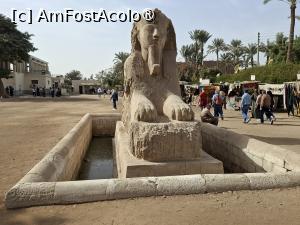 [P12] Memphis, Muzeul Mit Rahina, Sfinxul de alabastru » foto by mprofeanu
 - 
<span class="allrVoted glyphicon glyphicon-heart hidden" id="av1525994"></span>
<a class="m-l-10 hidden" id="sv1525994" onclick="voting_Foto_DelVot(,1525994,25858)" role="button">șterge vot <span class="glyphicon glyphicon-remove"></span></a>
<a id="v91525994" class=" c-red"  onclick="voting_Foto_SetVot(1525994)" role="button"><span class="glyphicon glyphicon-heart-empty"></span> <b>LIKE</b> = Votează poza</a> <img class="hidden"  id="f1525994W9" src="/imagini/loader.gif" border="0" /><span class="AjErrMes hidden" id="e1525994ErM"></span>