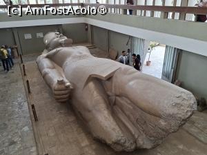 [P03] Memphis, Muzeul Mit Rahina, colosala Statuie a lui Ramses al II-lea » foto by mprofeanu
 - 
<span class="allrVoted glyphicon glyphicon-heart hidden" id="av1525985"></span>
<a class="m-l-10 hidden" id="sv1525985" onclick="voting_Foto_DelVot(,1525985,25858)" role="button">șterge vot <span class="glyphicon glyphicon-remove"></span></a>
<a id="v91525985" class=" c-red"  onclick="voting_Foto_SetVot(1525985)" role="button"><span class="glyphicon glyphicon-heart-empty"></span> <b>LIKE</b> = Votează poza</a> <img class="hidden"  id="f1525985W9" src="/imagini/loader.gif" border="0" /><span class="AjErrMes hidden" id="e1525985ErM"></span>