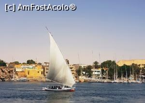 [P09] Fascinantele feluci pe Nil, la Aswan » foto by angela_tudose
 - 
<span class="allrVoted glyphicon glyphicon-heart hidden" id="av1112238"></span>
<a class="m-l-10 hidden" id="sv1112238" onclick="voting_Foto_DelVot(,1112238,25858)" role="button">șterge vot <span class="glyphicon glyphicon-remove"></span></a>
<a id="v91112238" class=" c-red"  onclick="voting_Foto_SetVot(1112238)" role="button"><span class="glyphicon glyphicon-heart-empty"></span> <b>LIKE</b> = Votează poza</a> <img class="hidden"  id="f1112238W9" src="/imagini/loader.gif" border="0" /><span class="AjErrMes hidden" id="e1112238ErM"></span>