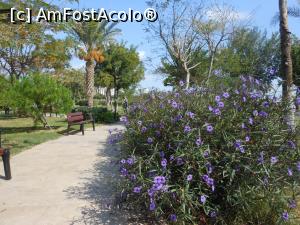 [P26] Orașul Antalya - În parc, la țărmul Mediteranei.  » foto by iulianic
 - 
<span class="allrVoted glyphicon glyphicon-heart hidden" id="av1124938"></span>
<a class="m-l-10 hidden" id="sv1124938" onclick="voting_Foto_DelVot(,1124938,25898)" role="button">șterge vot <span class="glyphicon glyphicon-remove"></span></a>
<a id="v91124938" class=" c-red"  onclick="voting_Foto_SetVot(1124938)" role="button"><span class="glyphicon glyphicon-heart-empty"></span> <b>LIKE</b> = Votează poza</a> <img class="hidden"  id="f1124938W9" src="/imagini/loader.gif" border="0" /><span class="AjErrMes hidden" id="e1124938ErM"></span>