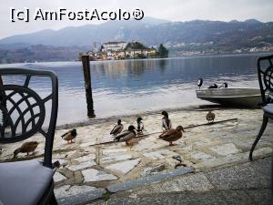 [P39] Ristorante Venus, Orta San Giulio; rațele! » foto by crismis
 - 
<span class="allrVoted glyphicon glyphicon-heart hidden" id="av1274817"></span>
<a class="m-l-10 hidden" id="sv1274817" onclick="voting_Foto_DelVot(,1274817,25935)" role="button">șterge vot <span class="glyphicon glyphicon-remove"></span></a>
<a id="v91274817" class=" c-red"  onclick="voting_Foto_SetVot(1274817)" role="button"><span class="glyphicon glyphicon-heart-empty"></span> <b>LIKE</b> = Votează poza</a> <img class="hidden"  id="f1274817W9" src="/imagini/loader.gif" border="0" /><span class="AjErrMes hidden" id="e1274817ErM"></span>