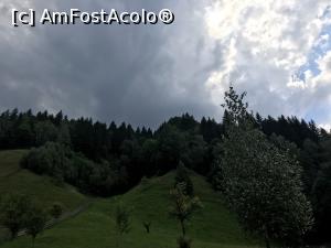 [P22] Moieciu de Jos » foto by nicole33
 - 
<span class="allrVoted glyphicon glyphicon-heart hidden" id="av1131518"></span>
<a class="m-l-10 hidden" id="sv1131518" onclick="voting_Foto_DelVot(,1131518,25982)" role="button">șterge vot <span class="glyphicon glyphicon-remove"></span></a>
<a id="v91131518" class=" c-red"  onclick="voting_Foto_SetVot(1131518)" role="button"><span class="glyphicon glyphicon-heart-empty"></span> <b>LIKE</b> = Votează poza</a> <img class="hidden"  id="f1131518W9" src="/imagini/loader.gif" border="0" /><span class="AjErrMes hidden" id="e1131518ErM"></span>