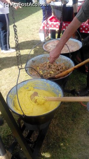 [P18] Poftiti la mamaliguta cu tochitura ardeleneasca » foto by dorgo
 - 
<span class="allrVoted glyphicon glyphicon-heart hidden" id="av1134413"></span>
<a class="m-l-10 hidden" id="sv1134413" onclick="voting_Foto_DelVot(,1134413,26006)" role="button">șterge vot <span class="glyphicon glyphicon-remove"></span></a>
<a id="v91134413" class=" c-red"  onclick="voting_Foto_SetVot(1134413)" role="button"><span class="glyphicon glyphicon-heart-empty"></span> <b>LIKE</b> = Votează poza</a> <img class="hidden"  id="f1134413W9" src="/imagini/loader.gif" border="0" /><span class="AjErrMes hidden" id="e1134413ErM"></span>