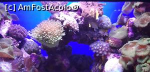 [P03] imagini de pe la Observator, minunate si pline de frumos » foto by roth
 - 
<span class="allrVoted glyphicon glyphicon-heart hidden" id="av1143491"></span>
<a class="m-l-10 hidden" id="sv1143491" onclick="voting_Foto_DelVot(,1143491,26082)" role="button">șterge vot <span class="glyphicon glyphicon-remove"></span></a>
<a id="v91143491" class=" c-red"  onclick="voting_Foto_SetVot(1143491)" role="button"><span class="glyphicon glyphicon-heart-empty"></span> <b>LIKE</b> = Votează poza</a> <img class="hidden"  id="f1143491W9" src="/imagini/loader.gif" border="0" /><span class="AjErrMes hidden" id="e1143491ErM"></span>