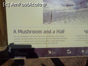 [P34] la fiecare obiectiv ai panou cu explicatii, totul in engleza si ebraica.  » foto by roth
 - 
<span class="allrVoted glyphicon glyphicon-heart hidden" id="av1143523"></span>
<a class="m-l-10 hidden" id="sv1143523" onclick="voting_Foto_DelVot(,1143523,26082)" role="button">șterge vot <span class="glyphicon glyphicon-remove"></span></a>
<a id="v91143523" class=" c-red"  onclick="voting_Foto_SetVot(1143523)" role="button"><span class="glyphicon glyphicon-heart-empty"></span> <b>LIKE</b> = Votează poza</a> <img class="hidden"  id="f1143523W9" src="/imagini/loader.gif" border="0" /><span class="AjErrMes hidden" id="e1143523ErM"></span>