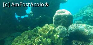 [P04] cam asa se vede din interiorul observatorului, zona aflata sub nivelul apei unde tu esti in spatiu inchis si fanuna/flora in spatiu deschis » foto by roth
 - 
<span class="allrVoted glyphicon glyphicon-heart hidden" id="av1143492"></span>
<a class="m-l-10 hidden" id="sv1143492" onclick="voting_Foto_DelVot(,1143492,26082)" role="button">șterge vot <span class="glyphicon glyphicon-remove"></span></a>
<a id="v91143492" class=" c-red"  onclick="voting_Foto_SetVot(1143492)" role="button"><span class="glyphicon glyphicon-heart-empty"></span> <b>LIKE</b> = Votează poza</a> <img class="hidden"  id="f1143492W9" src="/imagini/loader.gif" border="0" /><span class="AjErrMes hidden" id="e1143492ErM"></span>