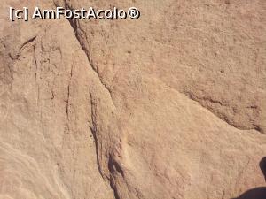 [P44] urme de scrieri, unele protejate altele lasate la liber » foto by roth
 - 
<span class="allrVoted glyphicon glyphicon-heart hidden" id="av1143533"></span>
<a class="m-l-10 hidden" id="sv1143533" onclick="voting_Foto_DelVot(,1143533,26082)" role="button">șterge vot <span class="glyphicon glyphicon-remove"></span></a>
<a id="v91143533" class=" c-red"  onclick="voting_Foto_SetVot(1143533)" role="button"><span class="glyphicon glyphicon-heart-empty"></span> <b>LIKE</b> = Votează poza</a> <img class="hidden"  id="f1143533W9" src="/imagini/loader.gif" border="0" /><span class="AjErrMes hidden" id="e1143533ErM"></span>