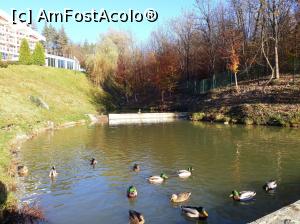 [P12] Hotelul Relax Coop - Vonesta Voda. Zi de toamna cu soare...  » foto by Floria
 - 
<span class="allrVoted glyphicon glyphicon-heart hidden" id="av1143243"></span>
<a class="m-l-10 hidden" id="sv1143243" onclick="voting_Foto_DelVot(,1143243,26120)" role="button">șterge vot <span class="glyphicon glyphicon-remove"></span></a>
<a id="v91143243" class=" c-red"  onclick="voting_Foto_SetVot(1143243)" role="button"><span class="glyphicon glyphicon-heart-empty"></span> <b>LIKE</b> = Votează poza</a> <img class="hidden"  id="f1143243W9" src="/imagini/loader.gif" border="0" /><span class="AjErrMes hidden" id="e1143243ErM"></span>