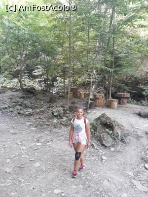 [P03] Măsuța cu scaune din bușteni de lemn pentru picnic,în apropierea cascadei » foto by laurand
 - 
<span class="allrVoted glyphicon glyphicon-heart hidden" id="av1481234"></span>
<a class="m-l-10 hidden" id="sv1481234" onclick="voting_Foto_DelVot(,1481234,26151)" role="button">șterge vot <span class="glyphicon glyphicon-remove"></span></a>
<a id="v91481234" class=" c-red"  onclick="voting_Foto_SetVot(1481234)" role="button"><span class="glyphicon glyphicon-heart-empty"></span> <b>LIKE</b> = Votează poza</a> <img class="hidden"  id="f1481234W9" src="/imagini/loader.gif" border="0" /><span class="AjErrMes hidden" id="e1481234ErM"></span>