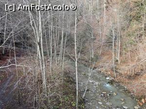 [P14] Cascada Pruncea de pe Râul Cașoca – Râul Caşoca în aval de Cascadă » foto by nicole33
 - 
<span class="allrVoted glyphicon glyphicon-heart hidden" id="av1342786"></span>
<a class="m-l-10 hidden" id="sv1342786" onclick="voting_Foto_DelVot(,1342786,26151)" role="button">șterge vot <span class="glyphicon glyphicon-remove"></span></a>
<a id="v91342786" class=" c-red"  onclick="voting_Foto_SetVot(1342786)" role="button"><span class="glyphicon glyphicon-heart-empty"></span> <b>LIKE</b> = Votează poza</a> <img class="hidden"  id="f1342786W9" src="/imagini/loader.gif" border="0" /><span class="AjErrMes hidden" id="e1342786ErM"></span>