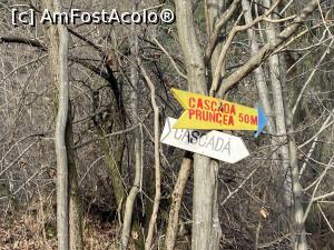 [P03] Cascada Pruncea de pe Râul Cașoca – indicatoarele care ne-au liniştit. Ajunsesem la destinaţie » foto by nicole33
 - 
<span class="allrVoted glyphicon glyphicon-heart hidden" id="av1342775"></span>
<a class="m-l-10 hidden" id="sv1342775" onclick="voting_Foto_DelVot(,1342775,26151)" role="button">șterge vot <span class="glyphicon glyphicon-remove"></span></a>
<a id="v91342775" class=" c-red"  onclick="voting_Foto_SetVot(1342775)" role="button"><span class="glyphicon glyphicon-heart-empty"></span> <b>LIKE</b> = Votează poza</a> <img class="hidden"  id="f1342775W9" src="/imagini/loader.gif" border="0" /><span class="AjErrMes hidden" id="e1342775ErM"></span>