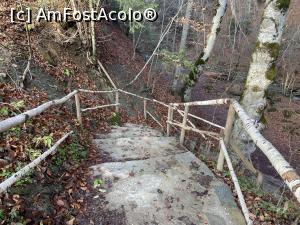 [P06] Cascada Pruncea de pe Râul Cașoca – scările pe care le-am coborât pentru a ajunge la cascadă » foto by nicole33
 - 
<span class="allrVoted glyphicon glyphicon-heart hidden" id="av1342778"></span>
<a class="m-l-10 hidden" id="sv1342778" onclick="voting_Foto_DelVot(,1342778,26151)" role="button">șterge vot <span class="glyphicon glyphicon-remove"></span></a>
<a id="v91342778" class=" c-red"  onclick="voting_Foto_SetVot(1342778)" role="button"><span class="glyphicon glyphicon-heart-empty"></span> <b>LIKE</b> = Votează poza</a> <img class="hidden"  id="f1342778W9" src="/imagini/loader.gif" border="0" /><span class="AjErrMes hidden" id="e1342778ErM"></span>
