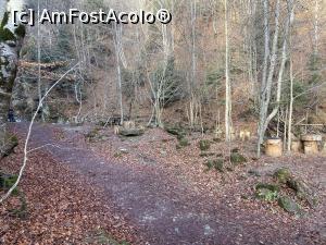 [P08] Cascada Pruncea de pe Râul Cașoca – spre cascadă. O auzeam, dar încă nu o vedeam » foto by nicole33
 - 
<span class="allrVoted glyphicon glyphicon-heart hidden" id="av1342780"></span>
<a class="m-l-10 hidden" id="sv1342780" onclick="voting_Foto_DelVot(,1342780,26151)" role="button">șterge vot <span class="glyphicon glyphicon-remove"></span></a>
<a id="v91342780" class=" c-red"  onclick="voting_Foto_SetVot(1342780)" role="button"><span class="glyphicon glyphicon-heart-empty"></span> <b>LIKE</b> = Votează poza</a> <img class="hidden"  id="f1342780W9" src="/imagini/loader.gif" border="0" /><span class="AjErrMes hidden" id="e1342780ErM"></span>