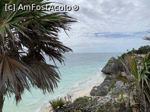 [P21] Tulum. La 100 m se afla a doua mare bariera de corali din lume » foto by patrice
 - 
<span class="allrVoted glyphicon glyphicon-heart hidden" id="av1150406"></span>
<a class="m-l-10 hidden" id="sv1150406" onclick="voting_Foto_DelVot(,1150406,26214)" role="button">șterge vot <span class="glyphicon glyphicon-remove"></span></a>
<a id="v91150406" class=" c-red"  onclick="voting_Foto_SetVot(1150406)" role="button"><span class="glyphicon glyphicon-heart-empty"></span> <b>LIKE</b> = Votează poza</a> <img class="hidden"  id="f1150406W9" src="/imagini/loader.gif" border="0" /><span class="AjErrMes hidden" id="e1150406ErM"></span>