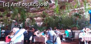 [P10] Parcă suntem într-o grădină tropicală! » foto by irinad
 - 
<span class="allrVoted glyphicon glyphicon-heart hidden" id="av1347892"></span>
<a class="m-l-10 hidden" id="sv1347892" onclick="voting_Foto_DelVot(,1347892,26247)" role="button">șterge vot <span class="glyphicon glyphicon-remove"></span></a>
<a id="v91347892" class=" c-red"  onclick="voting_Foto_SetVot(1347892)" role="button"><span class="glyphicon glyphicon-heart-empty"></span> <b>LIKE</b> = Votează poza</a> <img class="hidden"  id="f1347892W9" src="/imagini/loader.gif" border="0" /><span class="AjErrMes hidden" id="e1347892ErM"></span>