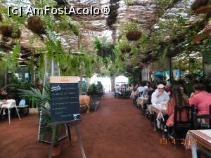 [P11] Parcă suntem într-o grădină tropicală! » foto by irinad
 - 
<span class="allrVoted glyphicon glyphicon-heart hidden" id="av1347893"></span>
<a class="m-l-10 hidden" id="sv1347893" onclick="voting_Foto_DelVot(,1347893,26247)" role="button">șterge vot <span class="glyphicon glyphicon-remove"></span></a>
<a id="v91347893" class=" c-red"  onclick="voting_Foto_SetVot(1347893)" role="button"><span class="glyphicon glyphicon-heart-empty"></span> <b>LIKE</b> = Votează poza</a> <img class="hidden"  id="f1347893W9" src="/imagini/loader.gif" border="0" /><span class="AjErrMes hidden" id="e1347893ErM"></span>