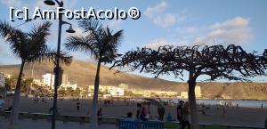 [P08] Plaja din Los Cristianos la apus » foto by irinad
 - 
<span class="allrVoted glyphicon glyphicon-heart hidden" id="av1351038"></span>
<a class="m-l-10 hidden" id="sv1351038" onclick="voting_Foto_DelVot(,1351038,26247)" role="button">șterge vot <span class="glyphicon glyphicon-remove"></span></a>
<a id="v91351038" class=" c-red"  onclick="voting_Foto_SetVot(1351038)" role="button"><span class="glyphicon glyphicon-heart-empty"></span> <b>LIKE</b> = Votează poza</a> <img class="hidden"  id="f1351038W9" src="/imagini/loader.gif" border="0" /><span class="AjErrMes hidden" id="e1351038ErM"></span>