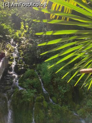 [P28] Cascada Varone » foto by ilee
 - 
<span class="allrVoted glyphicon glyphicon-heart hidden" id="av1445530"></span>
<a class="m-l-10 hidden" id="sv1445530" onclick="voting_Foto_DelVot(,1445530,26248)" role="button">șterge vot <span class="glyphicon glyphicon-remove"></span></a>
<a id="v91445530" class=" c-red"  onclick="voting_Foto_SetVot(1445530)" role="button"><span class="glyphicon glyphicon-heart-empty"></span> <b>LIKE</b> = Votează poza</a> <img class="hidden"  id="f1445530W9" src="/imagini/loader.gif" border="0" /><span class="AjErrMes hidden" id="e1445530ErM"></span>