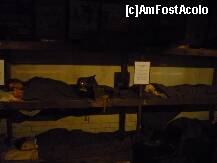 [P77] Britain at War Experience - adăpost AA. » foto by Dragoș_MD
 - 
<span class="allrVoted glyphicon glyphicon-heart hidden" id="av205666"></span>
<a class="m-l-10 hidden" id="sv205666" onclick="voting_Foto_DelVot(,205666,26263)" role="button">șterge vot <span class="glyphicon glyphicon-remove"></span></a>
<a id="v9205666" class=" c-red"  onclick="voting_Foto_SetVot(205666)" role="button"><span class="glyphicon glyphicon-heart-empty"></span> <b>LIKE</b> = Votează poza</a> <img class="hidden"  id="f205666W9" src="/imagini/loader.gif" border="0" /><span class="AjErrMes hidden" id="e205666ErM"></span>