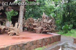 [P33] Puerto Iguazu, Complex Turistic Aripuca, Capcana Aripuca, Exterior, Părți rămase din arboriii folosiți la construirea acesteia, obiecte de decor acum...  » foto by mprofeanu
 - 
<span class="allrVoted glyphicon glyphicon-heart hidden" id="av1156820"></span>
<a class="m-l-10 hidden" id="sv1156820" onclick="voting_Foto_DelVot(,1156820,26268)" role="button">șterge vot <span class="glyphicon glyphicon-remove"></span></a>
<a id="v91156820" class=" c-red"  onclick="voting_Foto_SetVot(1156820)" role="button"><span class="glyphicon glyphicon-heart-empty"></span> <b>LIKE</b> = Votează poza</a> <img class="hidden"  id="f1156820W9" src="/imagini/loader.gif" border="0" /><span class="AjErrMes hidden" id="e1156820ErM"></span>