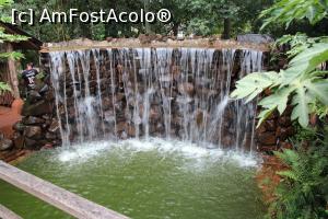[P43] Puerto Iguazu, Complex Turistic Aripuca, Mica Grădină are și o cascadă în miniatură » foto by mprofeanu
 - 
<span class="allrVoted glyphicon glyphicon-heart hidden" id="av1156830"></span>
<a class="m-l-10 hidden" id="sv1156830" onclick="voting_Foto_DelVot(,1156830,26268)" role="button">șterge vot <span class="glyphicon glyphicon-remove"></span></a>
<a id="v91156830" class=" c-red"  onclick="voting_Foto_SetVot(1156830)" role="button"><span class="glyphicon glyphicon-heart-empty"></span> <b>LIKE</b> = Votează poza</a> <img class="hidden"  id="f1156830W9" src="/imagini/loader.gif" border="0" /><span class="AjErrMes hidden" id="e1156830ErM"></span>