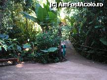 [P21] vegetatia luxurianta din park » foto by grecudoina
 - 
<span class="allrVoted glyphicon glyphicon-heart hidden" id="av292654"></span>
<a class="m-l-10 hidden" id="sv292654" onclick="voting_Foto_DelVot(,292654,26278)" role="button">șterge vot <span class="glyphicon glyphicon-remove"></span></a>
<a id="v9292654" class=" c-red"  onclick="voting_Foto_SetVot(292654)" role="button"><span class="glyphicon glyphicon-heart-empty"></span> <b>LIKE</b> = Votează poza</a> <img class="hidden"  id="f292654W9" src="/imagini/loader.gif" border="0" /><span class="AjErrMes hidden" id="e292654ErM"></span>