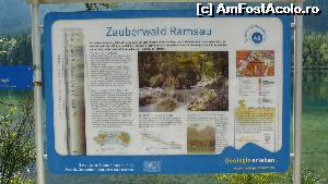 [P22] 'Padurea fermecata' (Zauberwald Ramsau) la cativa pasi de Hintersee » foto by osna
 - 
<span class="allrVoted glyphicon glyphicon-heart hidden" id="av560074"></span>
<a class="m-l-10 hidden" id="sv560074" onclick="voting_Foto_DelVot(,560074,26315)" role="button">șterge vot <span class="glyphicon glyphicon-remove"></span></a>
<a id="v9560074" class=" c-red"  onclick="voting_Foto_SetVot(560074)" role="button"><span class="glyphicon glyphicon-heart-empty"></span> <b>LIKE</b> = Votează poza</a> <img class="hidden"  id="f560074W9" src="/imagini/loader.gif" border="0" /><span class="AjErrMes hidden" id="e560074ErM"></span>