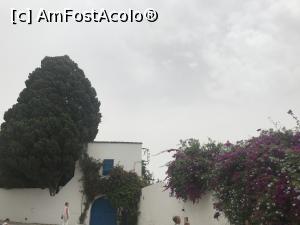 [P04] Sidi Bou Saïd – frumosul orăşel alb – albastru din Tunisia » foto by nicole33
 - 
<span class="allrVoted glyphicon glyphicon-heart hidden" id="av1173882"></span>
<a class="m-l-10 hidden" id="sv1173882" onclick="voting_Foto_DelVot(,1173882,26417)" role="button">șterge vot <span class="glyphicon glyphicon-remove"></span></a>
<a id="v91173882" class=" c-red"  onclick="voting_Foto_SetVot(1173882)" role="button"><span class="glyphicon glyphicon-heart-empty"></span> <b>LIKE</b> = Votează poza</a> <img class="hidden"  id="f1173882W9" src="/imagini/loader.gif" border="0" /><span class="AjErrMes hidden" id="e1173882ErM"></span>