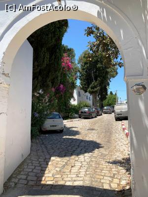 [P34] Sidi Bou Said » foto by AZE
 - 
<span class="allrVoted glyphicon glyphicon-heart hidden" id="av1322891"></span>
<a class="m-l-10 hidden" id="sv1322891" onclick="voting_Foto_DelVot(,1322891,26417)" role="button">șterge vot <span class="glyphicon glyphicon-remove"></span></a>
<a id="v91322891" class=" c-red"  onclick="voting_Foto_SetVot(1322891)" role="button"><span class="glyphicon glyphicon-heart-empty"></span> <b>LIKE</b> = Votează poza</a> <img class="hidden"  id="f1322891W9" src="/imagini/loader.gif" border="0" /><span class="AjErrMes hidden" id="e1322891ErM"></span>