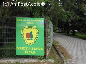 [P14] Hemeiuș - Poarta comună pentru Ansamblul Castelului Cantacuzino - Pașcanu și Direcția Silvică Bacău. » foto by iulianic
 - 
<span class="allrVoted glyphicon glyphicon-heart hidden" id="av1175694"></span>
<a class="m-l-10 hidden" id="sv1175694" onclick="voting_Foto_DelVot(,1175694,26435)" role="button">șterge vot <span class="glyphicon glyphicon-remove"></span></a>
<a id="v91175694" class=" c-red"  onclick="voting_Foto_SetVot(1175694)" role="button"><span class="glyphicon glyphicon-heart-empty"></span> <b>LIKE</b> = Votează poza</a> <img class="hidden"  id="f1175694W9" src="/imagini/loader.gif" border="0" /><span class="AjErrMes hidden" id="e1175694ErM"></span>