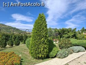 [P05] I Giardini di Zoe » foto by Carmen Ion
 - 
<span class="allrVoted glyphicon glyphicon-heart hidden" id="av1511712"></span>
<a class="m-l-10 hidden" id="sv1511712" onclick="voting_Foto_DelVot(,1511712,26461)" role="button">șterge vot <span class="glyphicon glyphicon-remove"></span></a>
<a id="v91511712" class=" c-red"  onclick="voting_Foto_SetVot(1511712)" role="button"><span class="glyphicon glyphicon-heart-empty"></span> <b>LIKE</b> = Votează poza</a> <img class="hidden"  id="f1511712W9" src="/imagini/loader.gif" border="0" /><span class="AjErrMes hidden" id="e1511712ErM"></span>