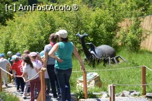 [P14]  -- <small>// FĂRĂ DESCRIERE</small> » foto by pepsi70ro
 - 
<span class="allrVoted glyphicon glyphicon-heart hidden" id="av1499580"></span>
<a class="m-l-10 hidden" id="sv1499580" onclick="voting_Foto_DelVot(,1499580,26478)" role="button">șterge vot <span class="glyphicon glyphicon-remove"></span></a>
<a id="v91499580" class=" c-red"  onclick="voting_Foto_SetVot(1499580)" role="button"><span class="glyphicon glyphicon-heart-empty"></span> <b>LIKE</b> = Votează poza</a> <img class="hidden"  id="f1499580W9" src="/imagini/loader.gif" border="0" /><span class="AjErrMes hidden" id="e1499580ErM"></span>