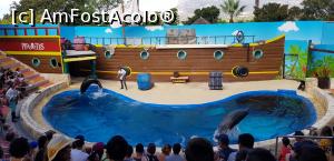 [P83] Parcul tematic MundoMar din Benidorm - spectacol cu leii de mare » foto by nicole33
 - 
<span class="allrVoted glyphicon glyphicon-heart hidden" id="av1186031"></span>
<a class="m-l-10 hidden" id="sv1186031" onclick="voting_Foto_DelVot(,1186031,26540)" role="button">șterge vot <span class="glyphicon glyphicon-remove"></span></a>
<a id="v91186031" class=" c-red"  onclick="voting_Foto_SetVot(1186031)" role="button"><span class="glyphicon glyphicon-heart-empty"></span> <b>LIKE</b> = Votează poza</a> <img class="hidden"  id="f1186031W9" src="/imagini/loader.gif" border="0" /><span class="AjErrMes hidden" id="e1186031ErM"></span>