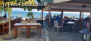 [P11] Plaja Aspri Ammos - taverna Proto Katsiki » foto by Carmen Ion
 - 
<span class="allrVoted glyphicon glyphicon-heart hidden" id="av1337324"></span>
<a class="m-l-10 hidden" id="sv1337324" onclick="voting_Foto_DelVot(,1337324,26607)" role="button">șterge vot <span class="glyphicon glyphicon-remove"></span></a>
<a id="v91337324" class=" c-red"  onclick="voting_Foto_SetVot(1337324)" role="button"><span class="glyphicon glyphicon-heart-empty"></span> <b>LIKE</b> = Votează poza</a> <img class="hidden"  id="f1337324W9" src="/imagini/loader.gif" border="0" /><span class="AjErrMes hidden" id="e1337324ErM"></span>