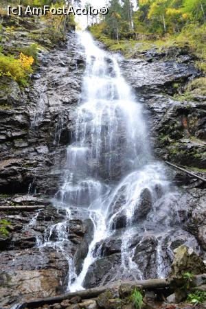 [P03] Cascada Scoruș » foto by AZE
 - 
<span class="allrVoted glyphicon glyphicon-heart hidden" id="av1195509"></span>
<a class="m-l-10 hidden" id="sv1195509" onclick="voting_Foto_DelVot(,1195509,26611)" role="button">șterge vot <span class="glyphicon glyphicon-remove"></span></a>
<a id="v91195509" class=" c-red"  onclick="voting_Foto_SetVot(1195509)" role="button"><span class="glyphicon glyphicon-heart-empty"></span> <b>LIKE</b> = Votează poza</a> <img class="hidden"  id="f1195509W9" src="/imagini/loader.gif" border="0" /><span class="AjErrMes hidden" id="e1195509ErM"></span>
