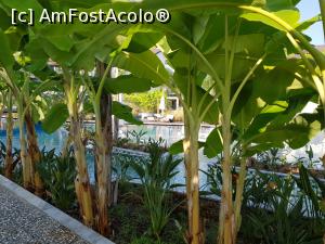 [P05] The Residence at TUI Sensatori Barut Fethiye - piscina » foto by nicole33
 - 
<span class="allrVoted glyphicon glyphicon-heart hidden" id="av1202197"></span>
<a class="m-l-10 hidden" id="sv1202197" onclick="voting_Foto_DelVot(,1202197,26646)" role="button">șterge vot <span class="glyphicon glyphicon-remove"></span></a>
<a id="v91202197" class=" c-red"  onclick="voting_Foto_SetVot(1202197)" role="button"><span class="glyphicon glyphicon-heart-empty"></span> <b>LIKE</b> = Votează poza</a> <img class="hidden"  id="f1202197W9" src="/imagini/loader.gif" border="0" /><span class="AjErrMes hidden" id="e1202197ErM"></span>