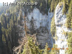 [P25] Vedere de la Balcoanele Cetății Ponorului » foto by zlatna
 - 
<span class="allrVoted glyphicon glyphicon-heart hidden" id="av1206675"></span>
<a class="m-l-10 hidden" id="sv1206675" onclick="voting_Foto_DelVot(,1206675,26655)" role="button">șterge vot <span class="glyphicon glyphicon-remove"></span></a>
<a id="v91206675" class=" c-red"  onclick="voting_Foto_SetVot(1206675)" role="button"><span class="glyphicon glyphicon-heart-empty"></span> <b>LIKE</b> = Votează poza</a> <img class="hidden"  id="f1206675W9" src="/imagini/loader.gif" border="0" /><span class="AjErrMes hidden" id="e1206675ErM"></span>
