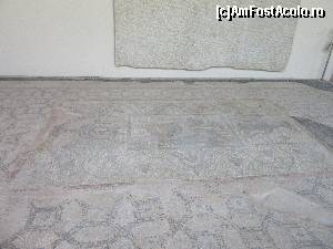 [P24] Mozaic de pardosea » foto by Michi
 - 
<span class="allrVoted glyphicon glyphicon-heart hidden" id="av625716"></span>
<a class="m-l-10 hidden" id="sv625716" onclick="voting_Foto_DelVot(,625716,26663)" role="button">șterge vot <span class="glyphicon glyphicon-remove"></span></a>
<a id="v9625716" class=" c-red"  onclick="voting_Foto_SetVot(625716)" role="button"><span class="glyphicon glyphicon-heart-empty"></span> <b>LIKE</b> = Votează poza</a> <img class="hidden"  id="f625716W9" src="/imagini/loader.gif" border="0" /><span class="AjErrMes hidden" id="e625716ErM"></span>