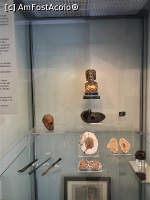 [P20] Muzeul german de istorie medicala - marturii ale trecutului » foto by mishu
 - 
<span class="allrVoted glyphicon glyphicon-heart hidden" id="av1207530"></span>
<a class="m-l-10 hidden" id="sv1207530" onclick="voting_Foto_DelVot(,1207530,26668)" role="button">șterge vot <span class="glyphicon glyphicon-remove"></span></a>
<a id="v91207530" class=" c-red"  onclick="voting_Foto_SetVot(1207530)" role="button"><span class="glyphicon glyphicon-heart-empty"></span> <b>LIKE</b> = Votează poza</a> <img class="hidden"  id="f1207530W9" src="/imagini/loader.gif" border="0" /><span class="AjErrMes hidden" id="e1207530ErM"></span>