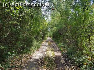 [P10] Am continuat să ne plimbăm pe aleea din pădure. » foto by Floryn81
 - 
<span class="allrVoted glyphicon glyphicon-heart hidden" id="av1207865"></span>
<a class="m-l-10 hidden" id="sv1207865" onclick="voting_Foto_DelVot(,1207865,26680)" role="button">șterge vot <span class="glyphicon glyphicon-remove"></span></a>
<a id="v91207865" class=" c-red"  onclick="voting_Foto_SetVot(1207865)" role="button"><span class="glyphicon glyphicon-heart-empty"></span> <b>LIKE</b> = Votează poza</a> <img class="hidden"  id="f1207865W9" src="/imagini/loader.gif" border="0" /><span class="AjErrMes hidden" id="e1207865ErM"></span>